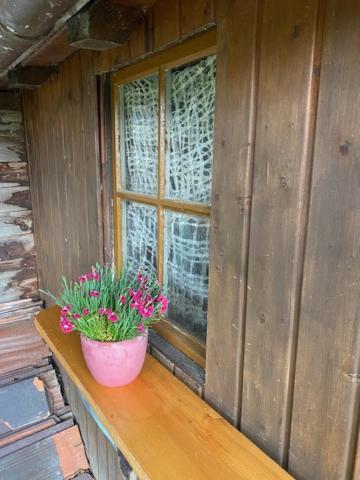 Ferienhaus Irene Friedrichshafen Ngoại thất bức ảnh